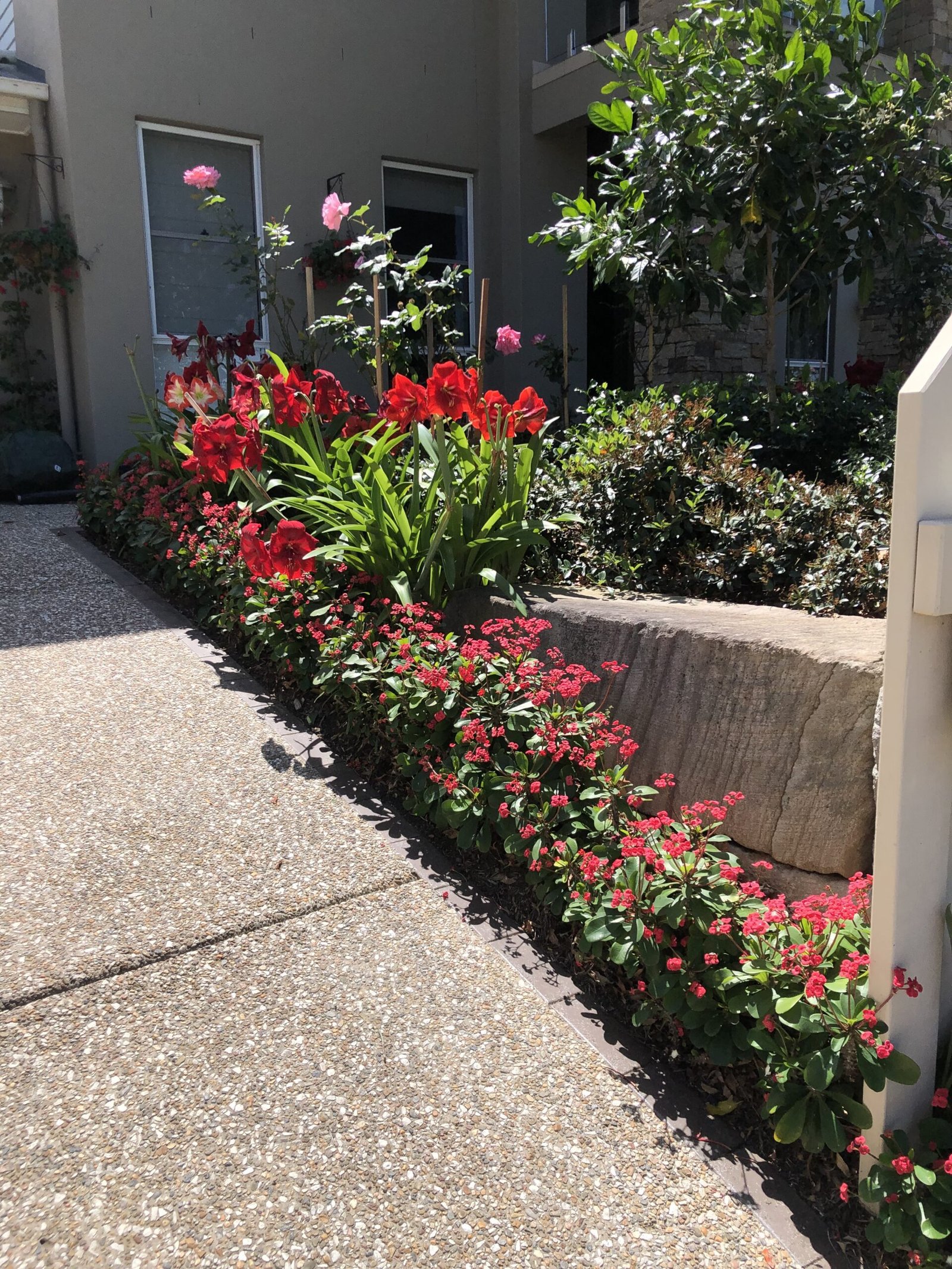well maintained garden